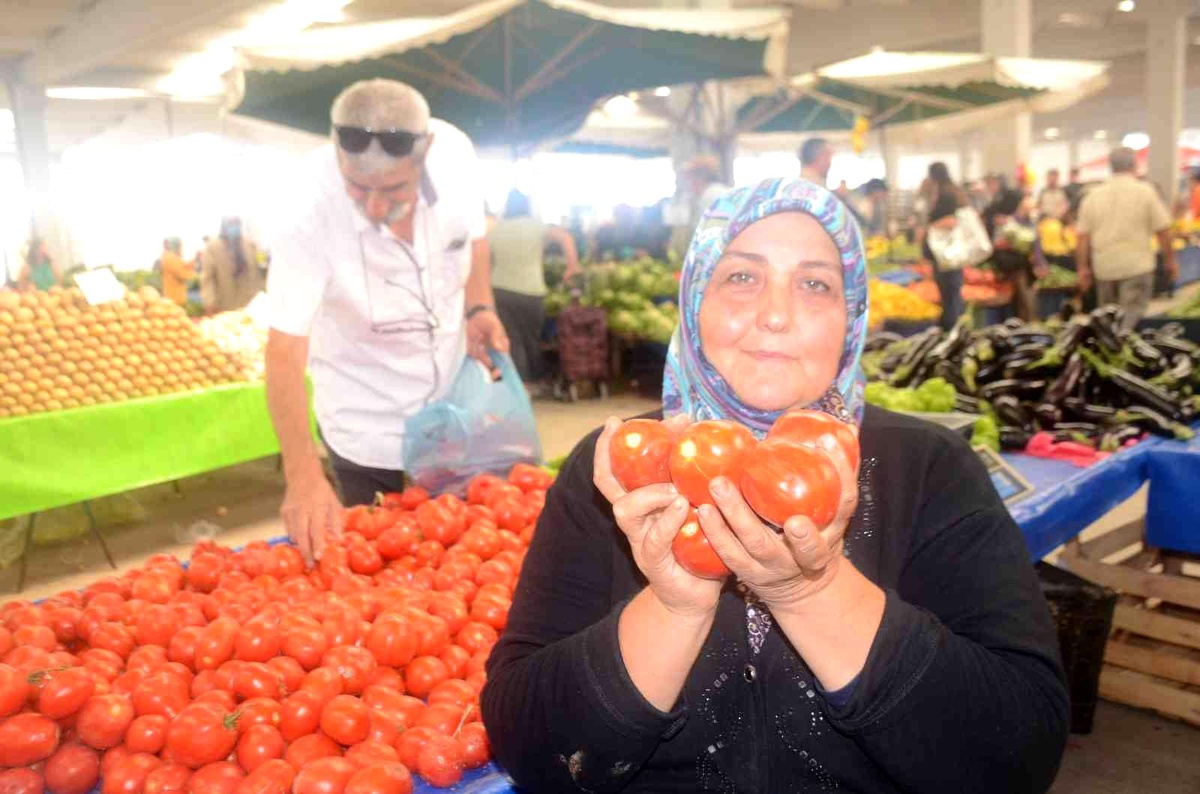 Salçalık domates ve biber sezonu başladı