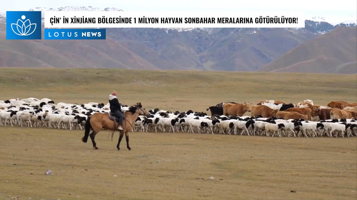 Video: Çin\'in Xinjiang Bölgesinde 1 Milyon Hayvan Sonbahar Meralarına Götürülüyor