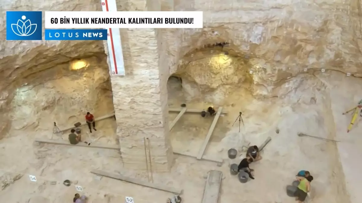 Video: İspanyol Araştırmacılar 60 Bin Yıllık Neandertal Kalıntıları Buldu