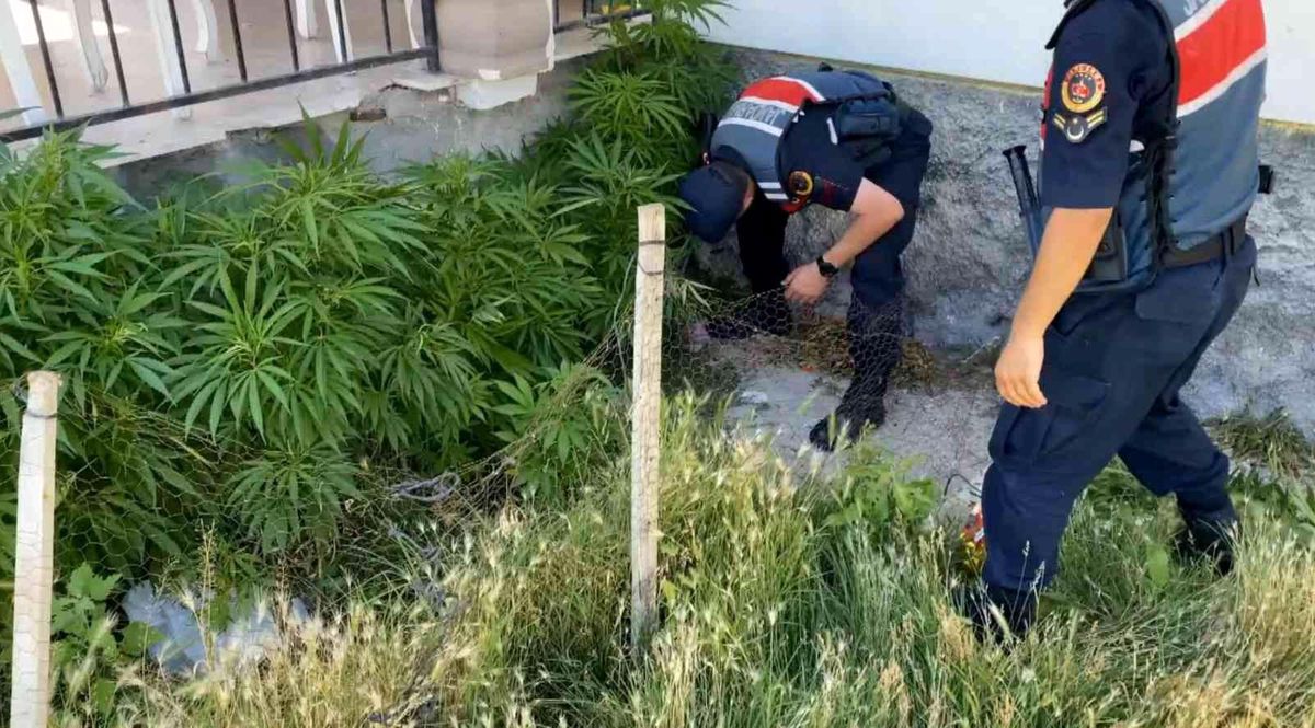 Aksaray\'da 2 köyde uyuşturucu operasyonu: 1\'i kadın 2 gözaltı