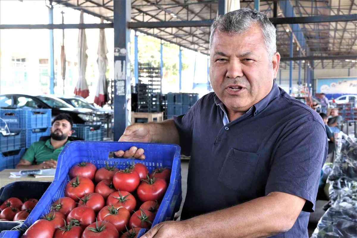 Antalyalı çiftçilerin domatese talebi yüzde 30 arttı