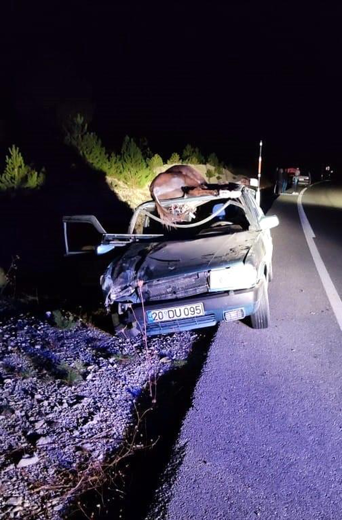 Otomobil eşeğe çarptı; 1 ölü, 1 yaralı