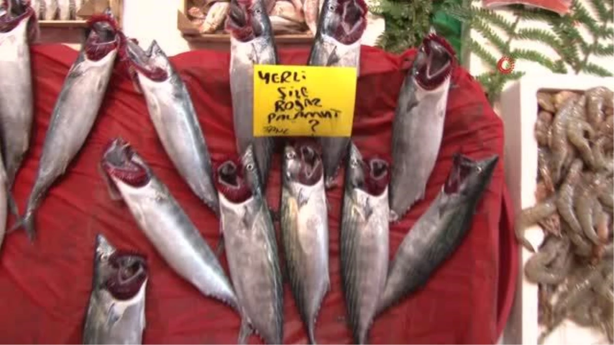 Av yasağı bitti: Karaköy\'deki balık tezgahları şenlendi