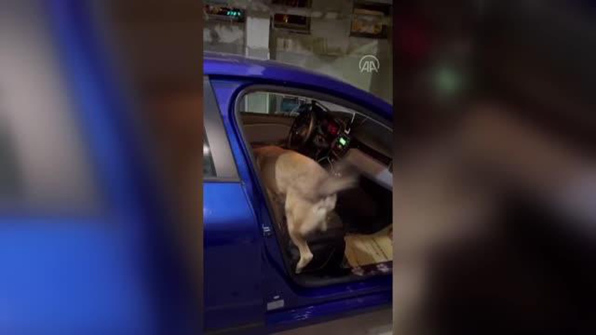 Balıkesir\'de otomobilin el freninin altına gizlenmiş metamfetamin ele geçirildi