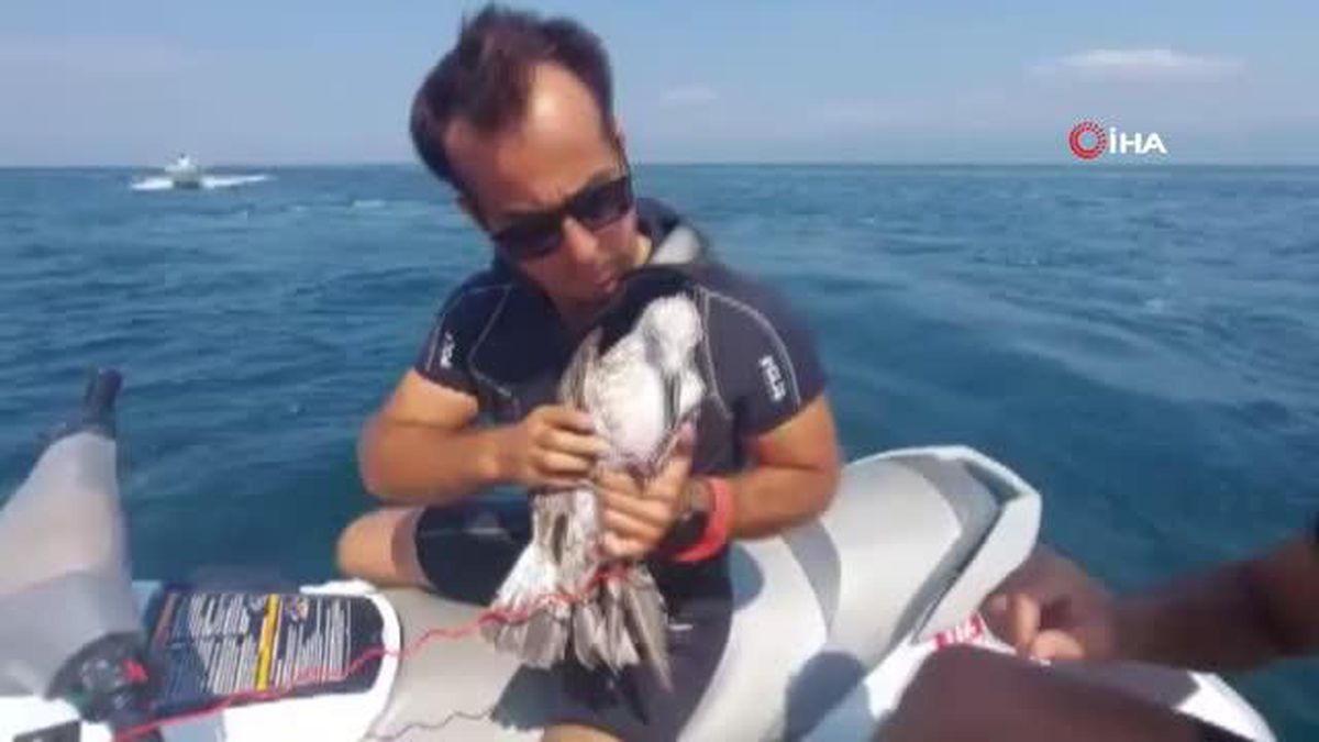 Bursa'da martı kurtarma operasyonu