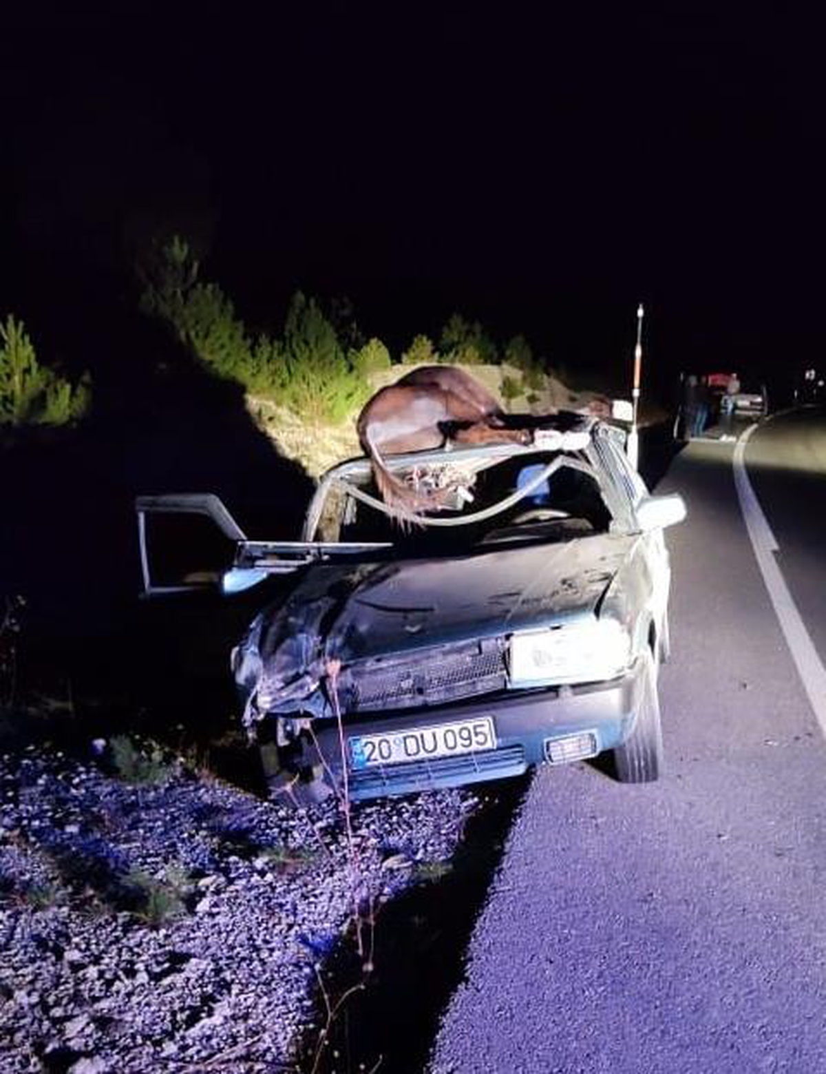 Denizli\'de otomobil yola çıkan eşeğe çarptı, bir kişi öldü