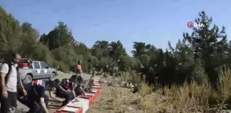 Doğaya 520 kınalı keklik salındı