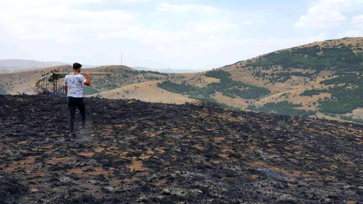 Gümüşhane\'de çobanın yaktığı ateş nedeniyle 20 hektarlık arazi küle döndü