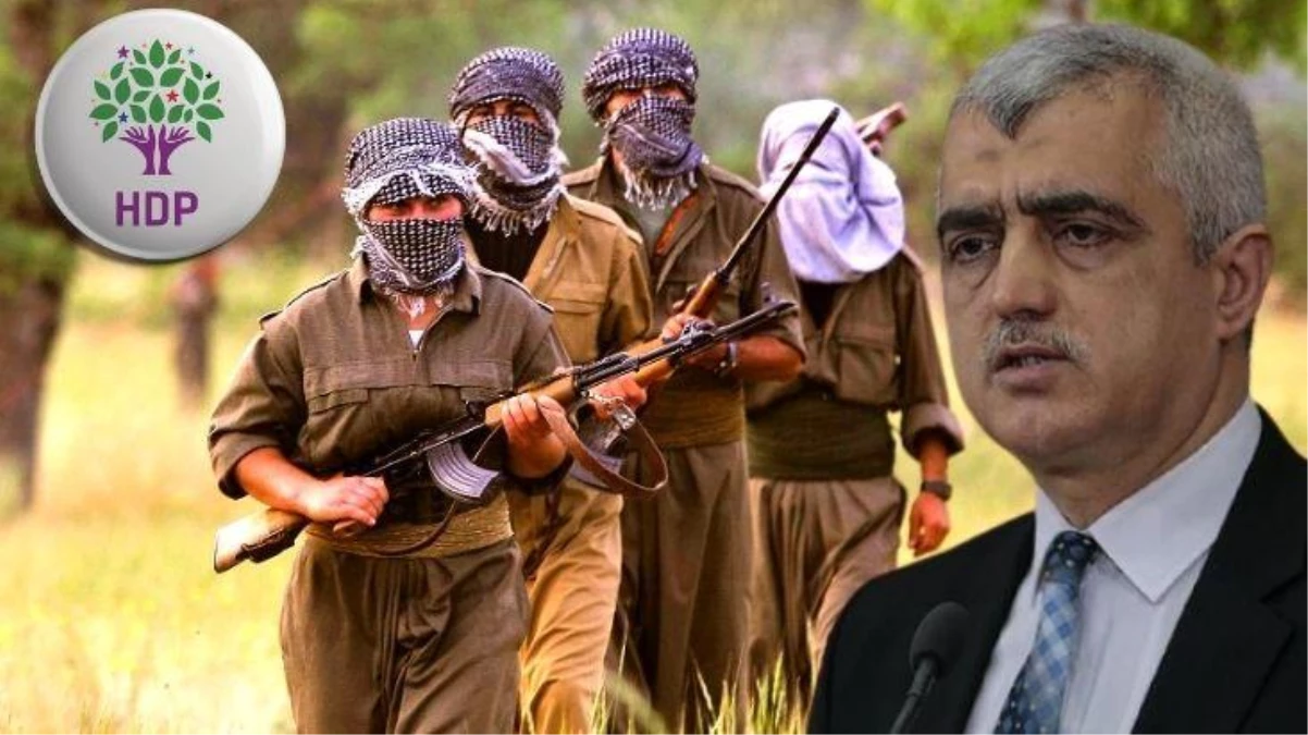 HDP\'li Ömer Faruk Gergerlioğlu: PKK\'nın mutlak suretle silahı bırakması gerekiyor