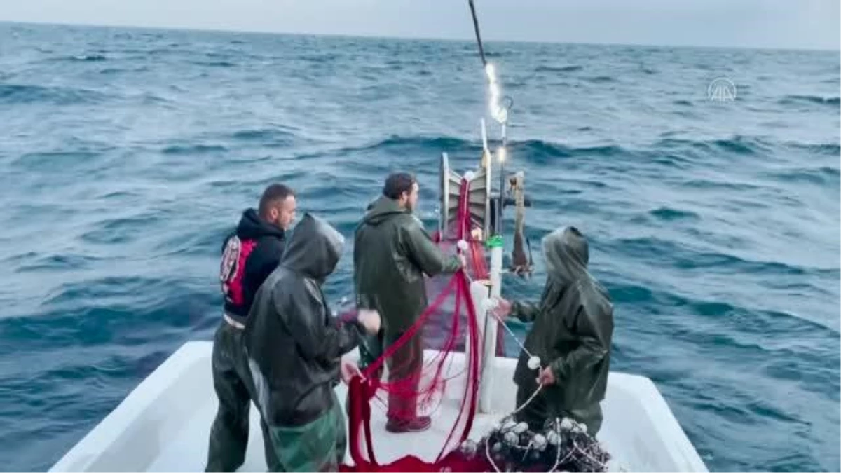 Kıyıköylü balıkçılar, av sezonunun ilk gününde "kara yel" engeline takıldı