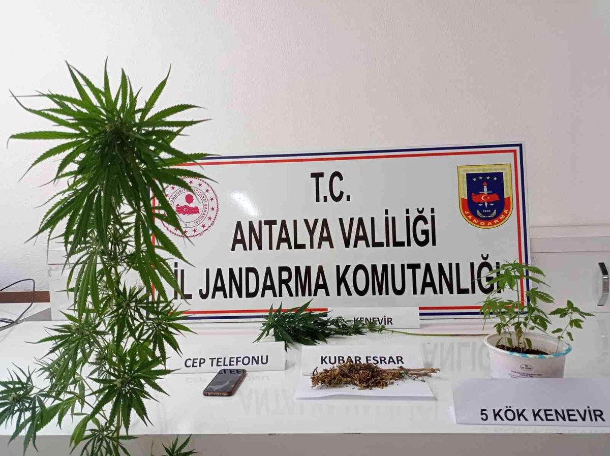 Kumluca\'da evin çatısında kenevir ele geçirildi