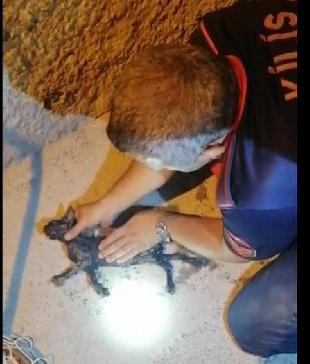 Kuyuya düşen yavru kediyi kurtarıp, kalp masajıyla hayata döndürdü