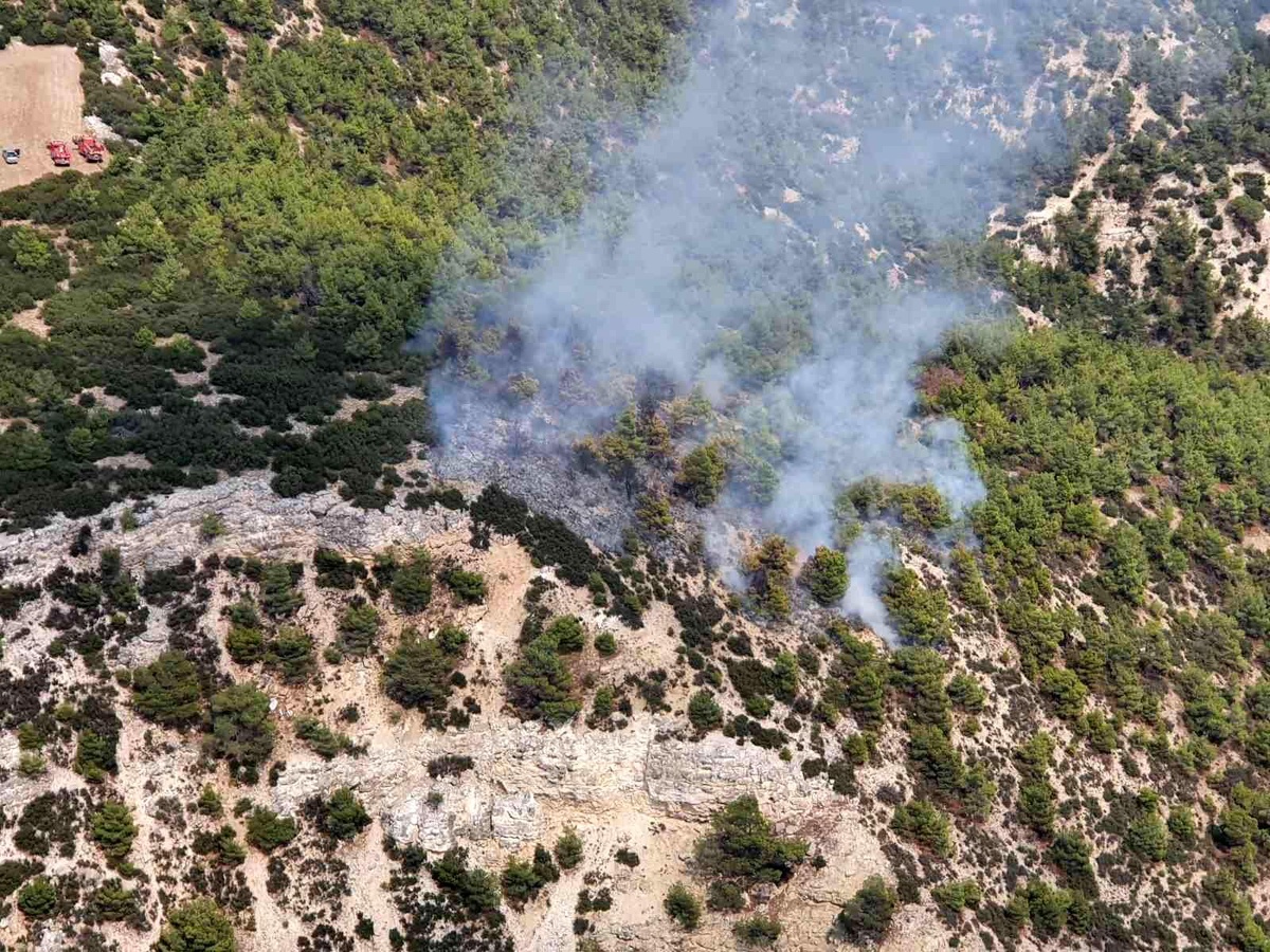 Manisa\'da çıkan orman yangınına çok sayıda ekip sevk edildi