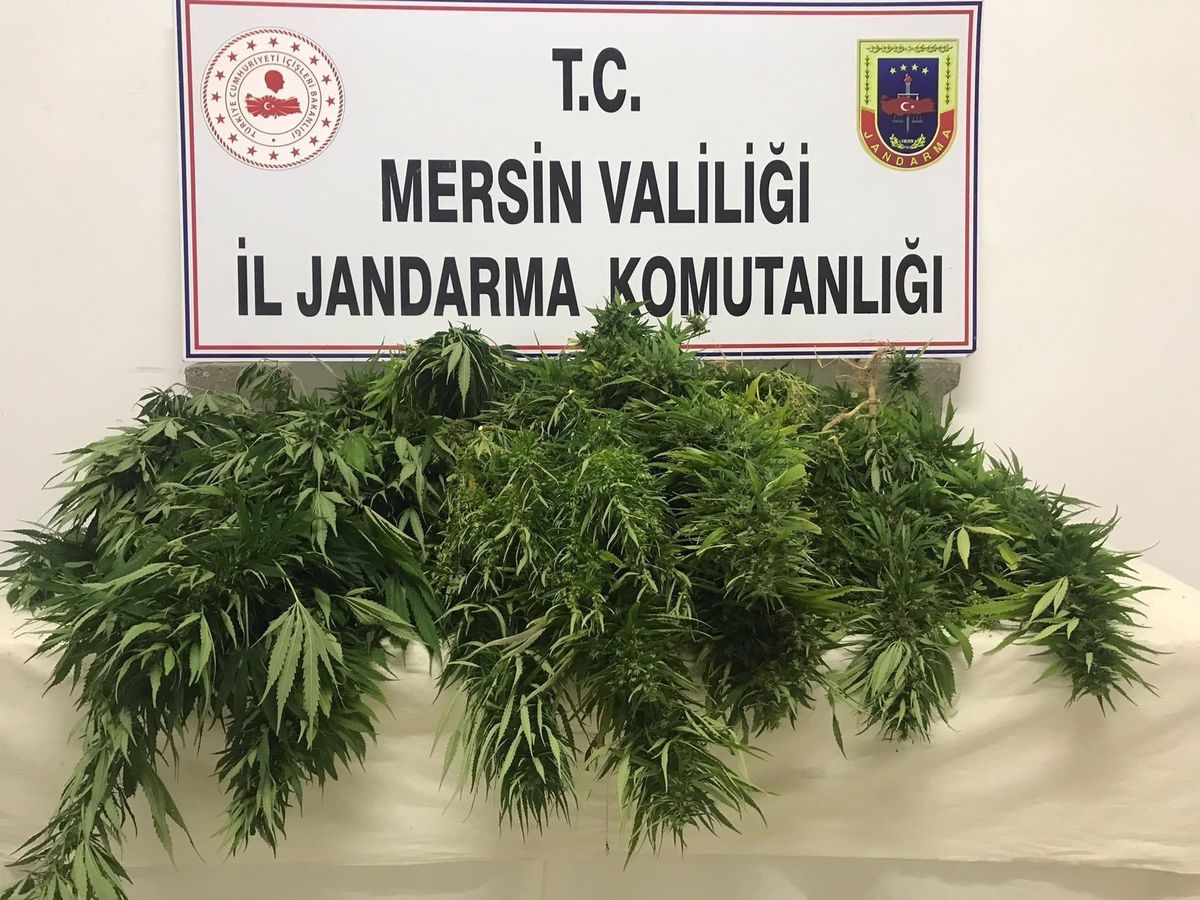 Mersin\'de uyuşturucu operasyonunda yakalanan 3 zanlıdan 1\'i tutuklandı