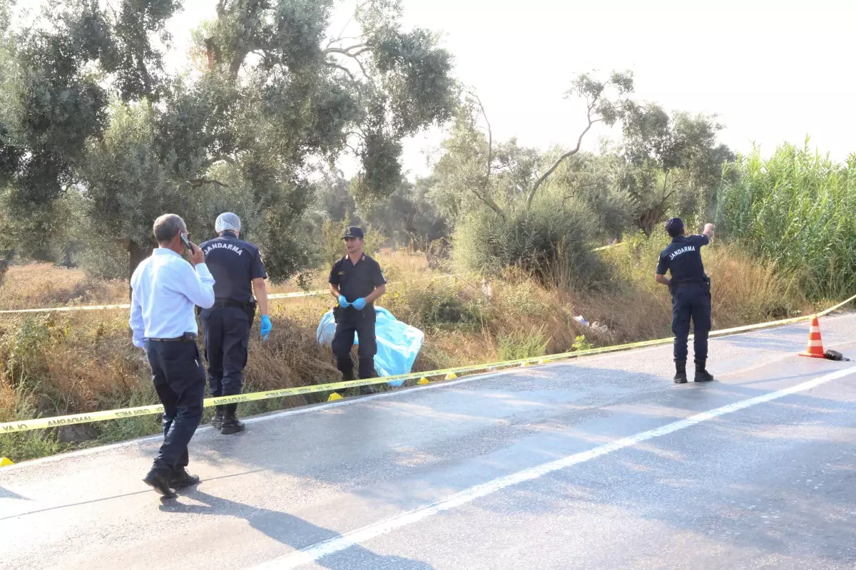 Muğla'da bir kişi yol kenarında ölü bulundu