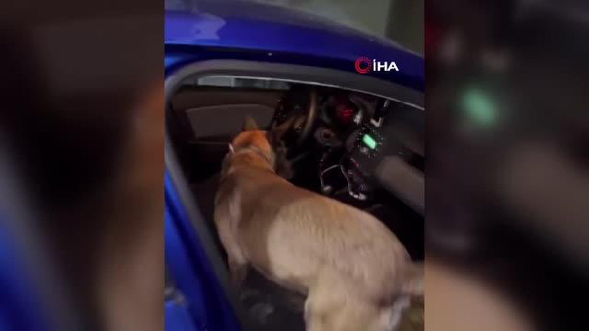 Otomobilin gizli bölgelerinden uyuşturucu çıktı