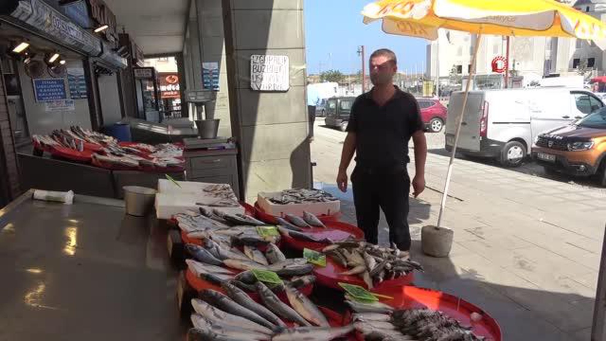 Trabzon\'da yeni balık av sezonunun ilk günü palamutta beklenti gerçekleşmedi