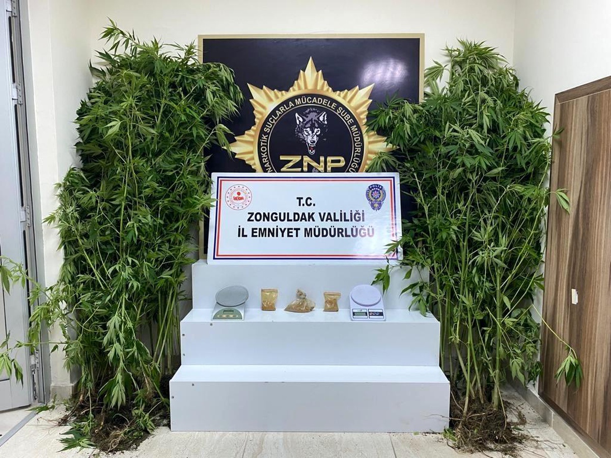 Zonguldak\'ta son 3 ayda 30 zehir taciri tutuklandı