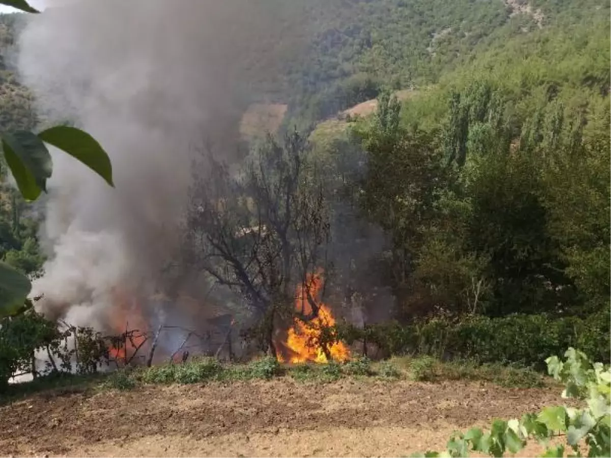 Adana\'da ormana yakın ev, alev alev yandı