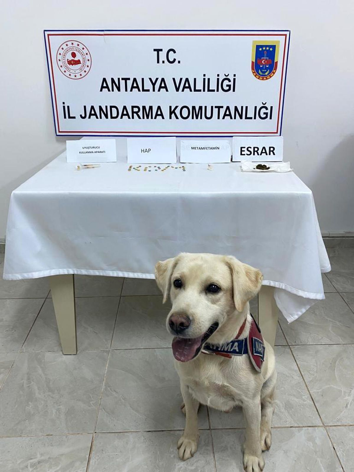 Alanya\'da jandarmanın durdurduğu araçta uyuşturucu madde ele geçirildi