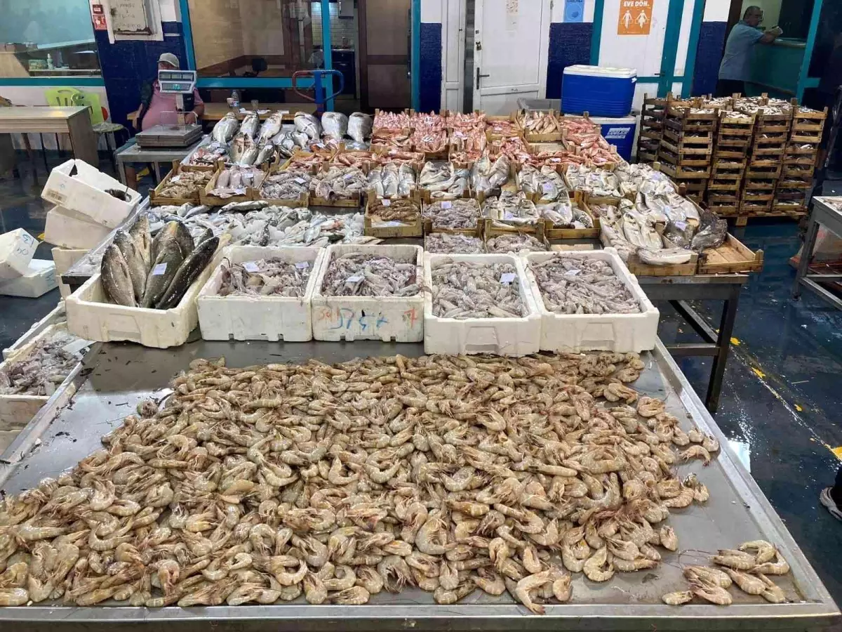 Av sezonu açıldı, balık hali balıkla doldu