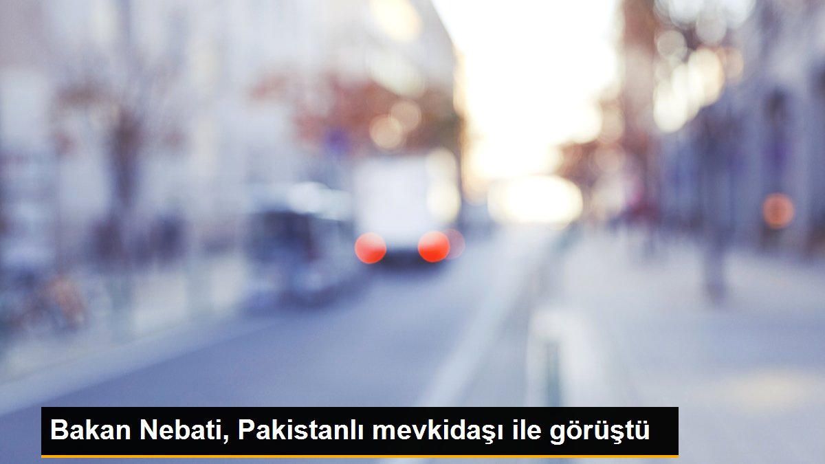 Bakan Nebati, Pakistanlı mevkidaşı ile görüştü