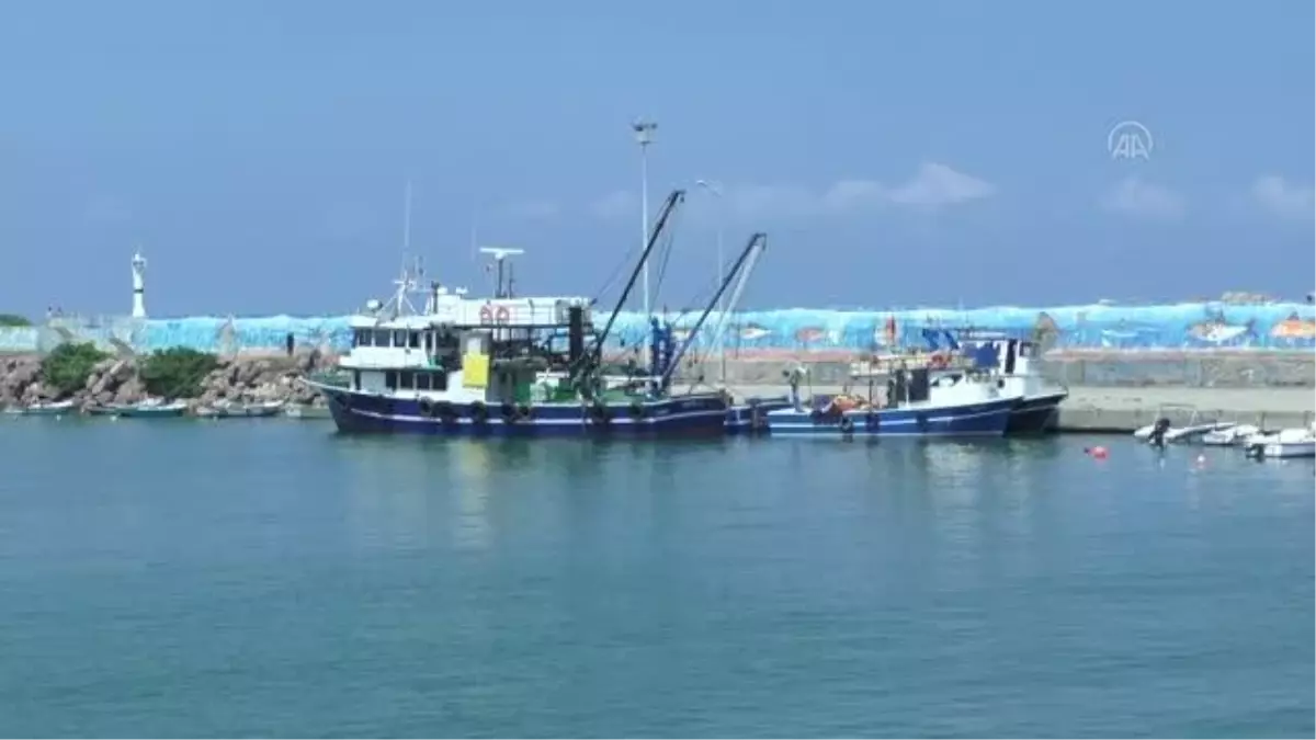 Batı Karadeniz'de balık fiyatları düştü