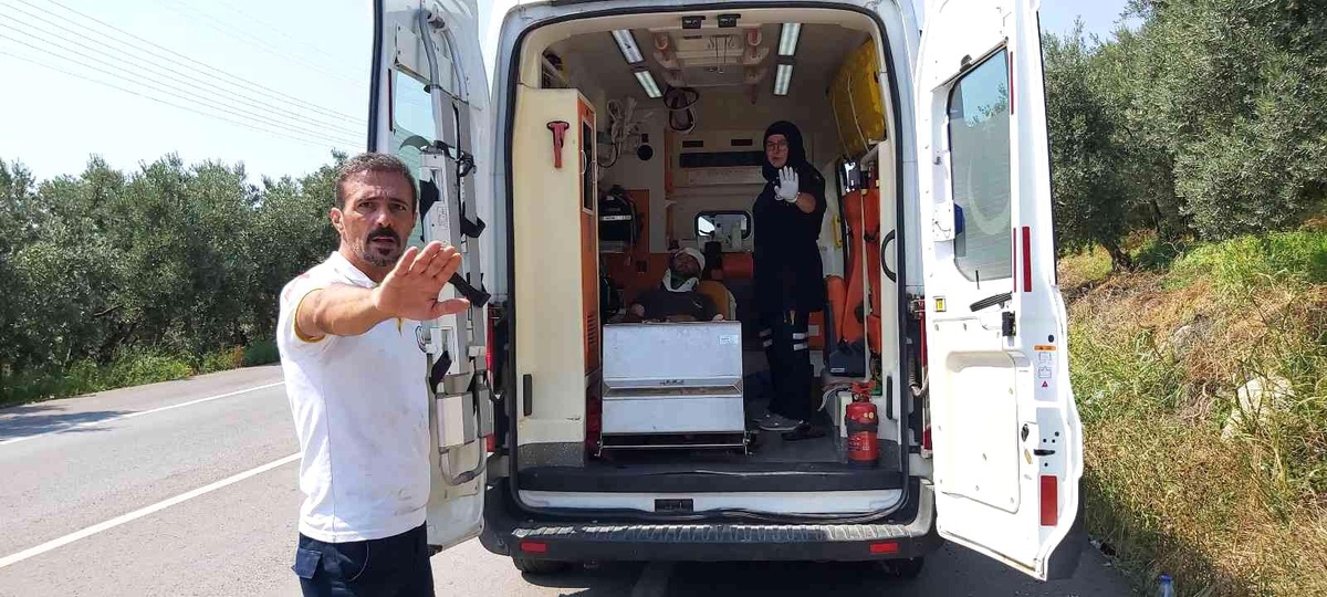 Bursa\'da iki kamyon kafa kafaya çarpıştı: 2 yaralı