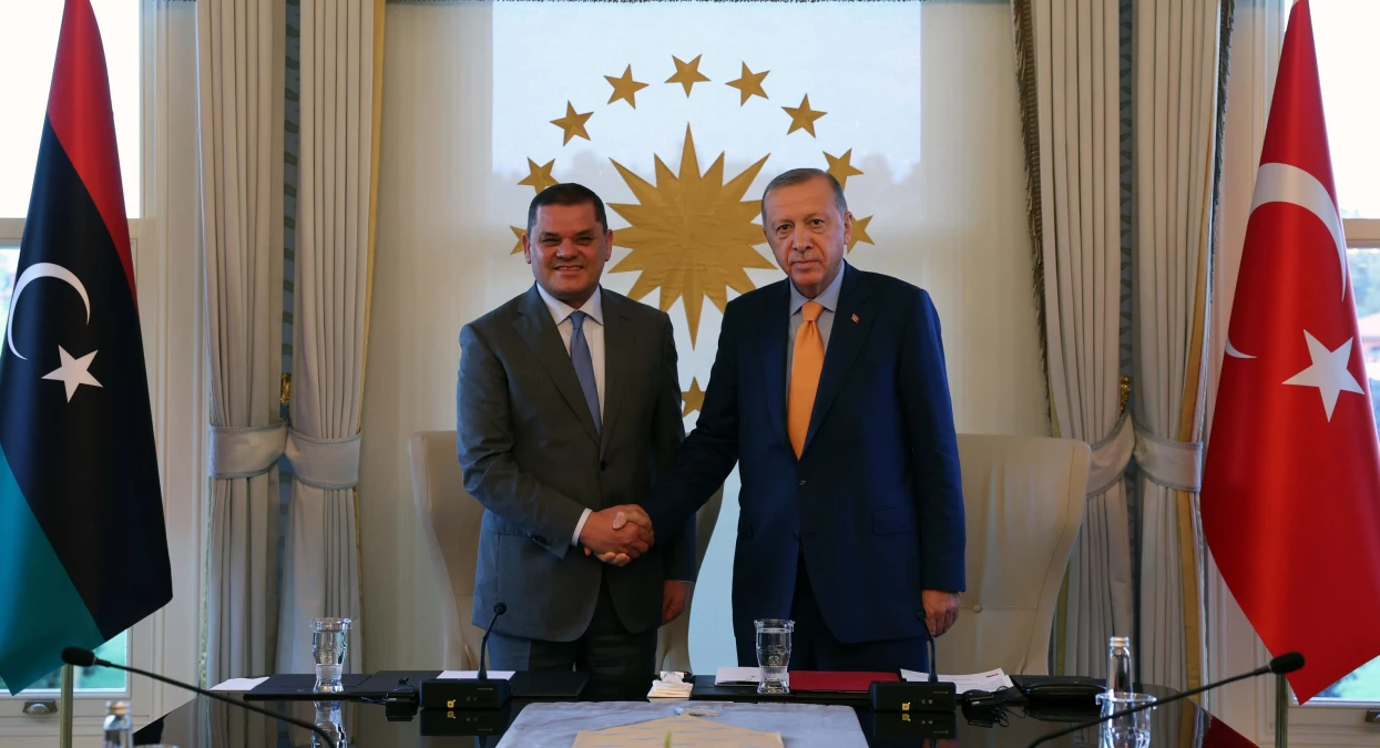 Cumhurbaşkanı Erdoğan, Libya Ulusal Birlik Hükümeti Başbakanı Dibeybe\'yi kabul etti