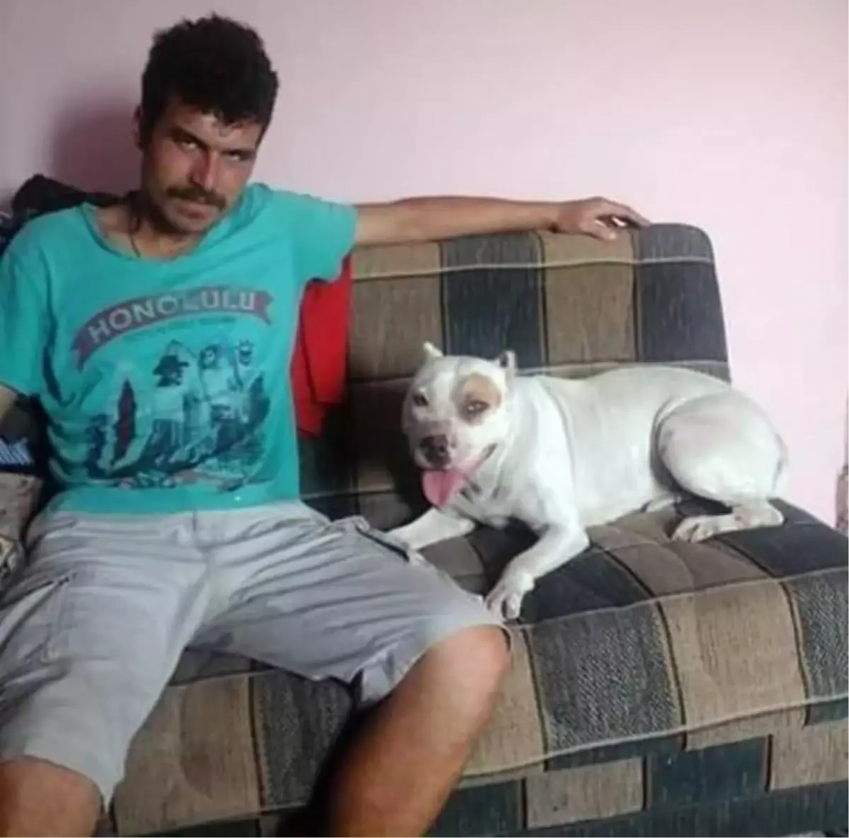 Elektrik direğinde akıma kapılıp öldü