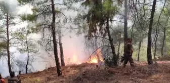 Hatay'da ormanlık alanda çıkan yangına müdahale ediliyor