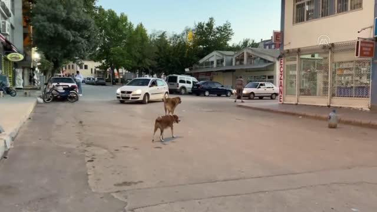 Burdur\'da sahipsiz köpeğin saldırdığı 20 aylık çocuğun babası yaşadıklarını anlattı