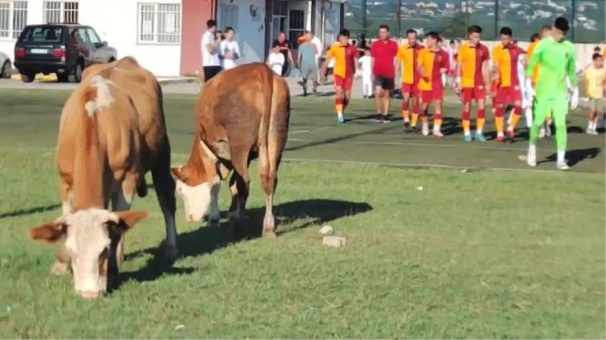 Türkiye Futbol Federasyonu, Rezerv Lig\'i kaldırdı! Akıllarda gündem olan o fotoğraf kaldı