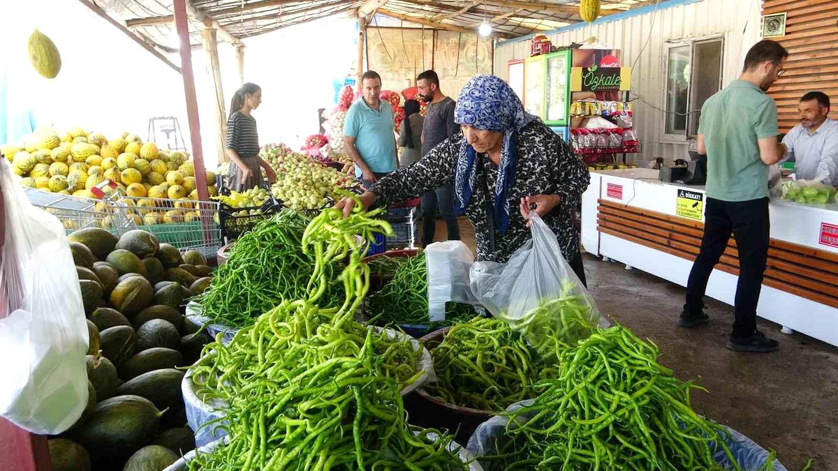 Van\'da meyve ve sebze hasadı üreticinin yüzünü güldürdü