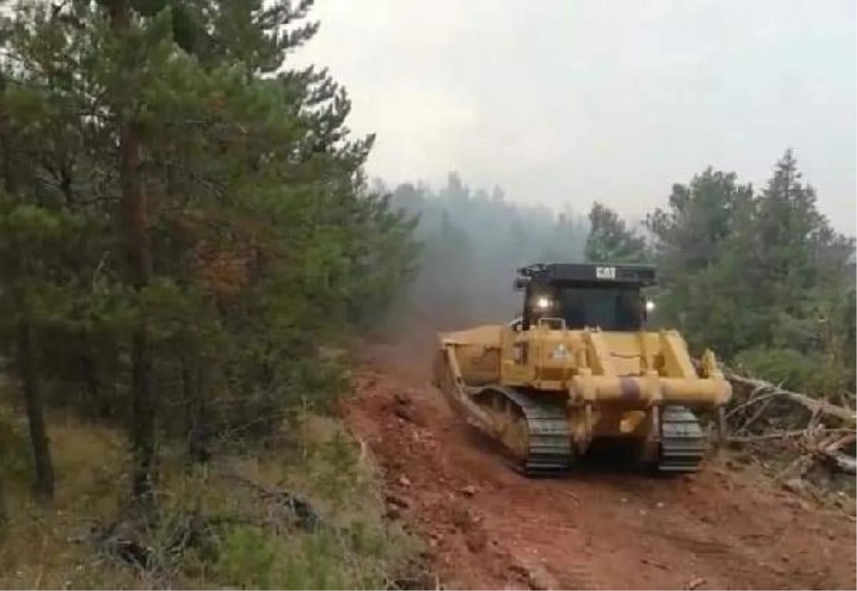 Erzincan\'daki orman yangınında 13 hektar alan kül oldu