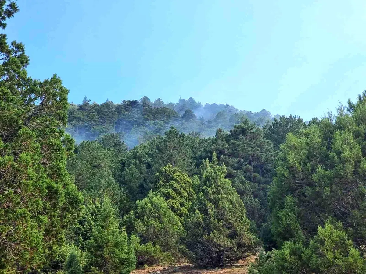 Isparta\'da çıkan orman yangını kontrol altına alındı