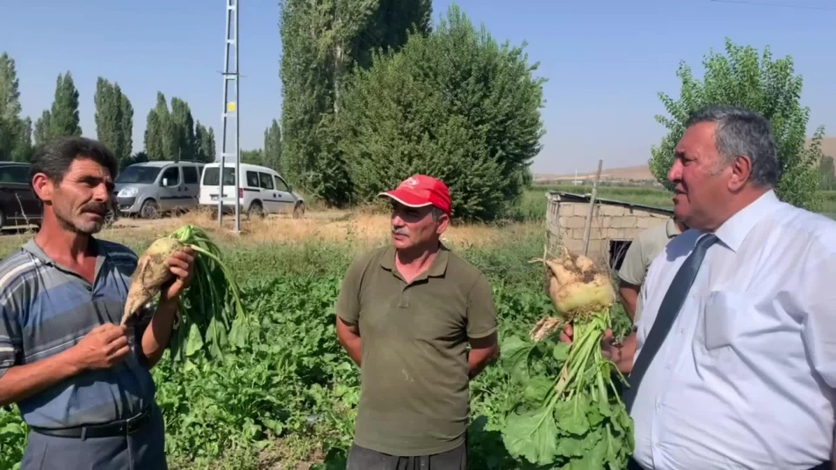 Ömer Fethi Gürer: "Her Yıl Bir Ürün Tarlada Kalıyor ve Üreticisini İflasın Eşiğine Getiriyor"