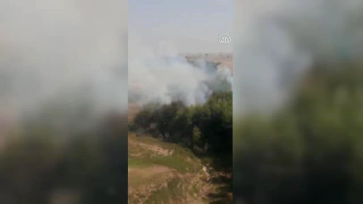 Adana\'da ağaçlık alanda çıkan yangın kontrol altına alındı