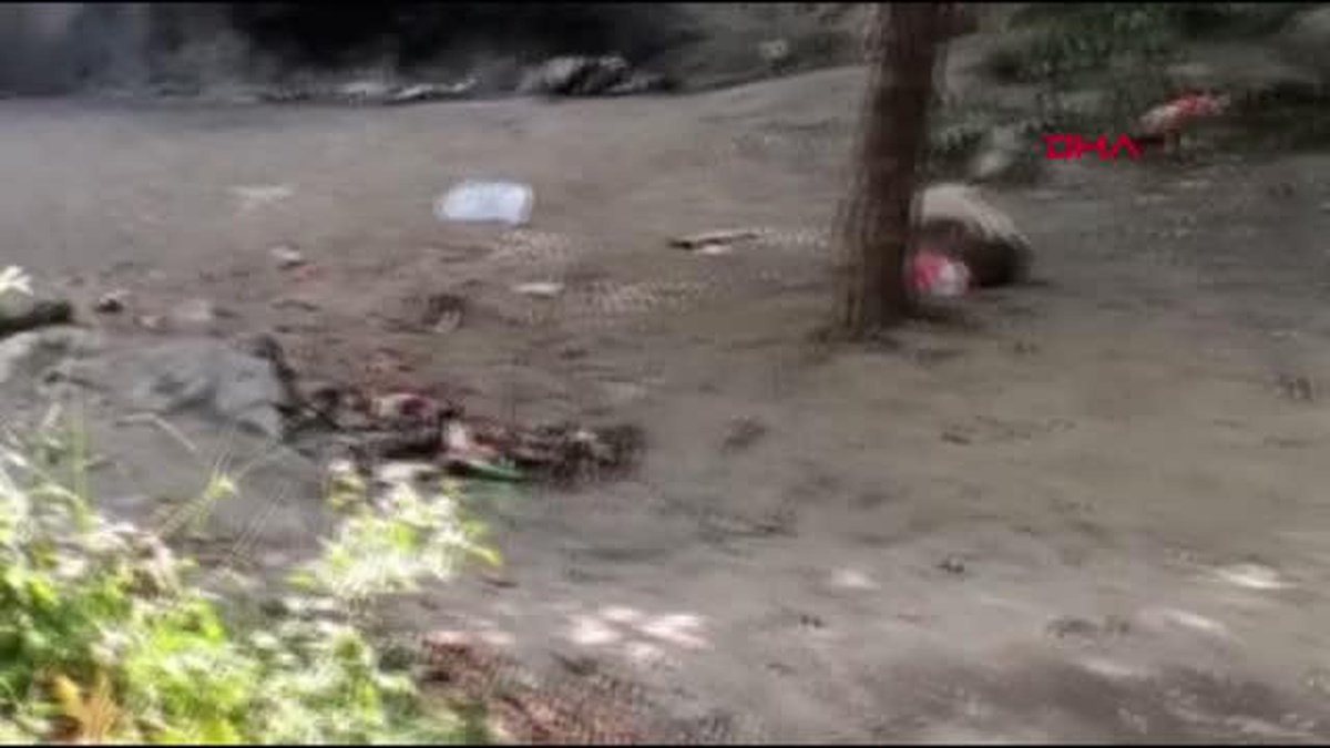 Kanyonda çevre kirliliğine tepki