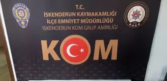 Hatay'da 4 bin 500 sikke ele geçirildi