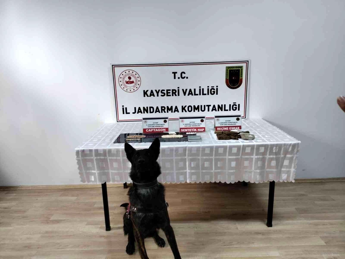 Jandarmadan uyuşturucu operasyonu: 1 gözaltı