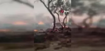 Kazakistan'da devam eden orman yangını nedeniyle acil durum ilan edildi