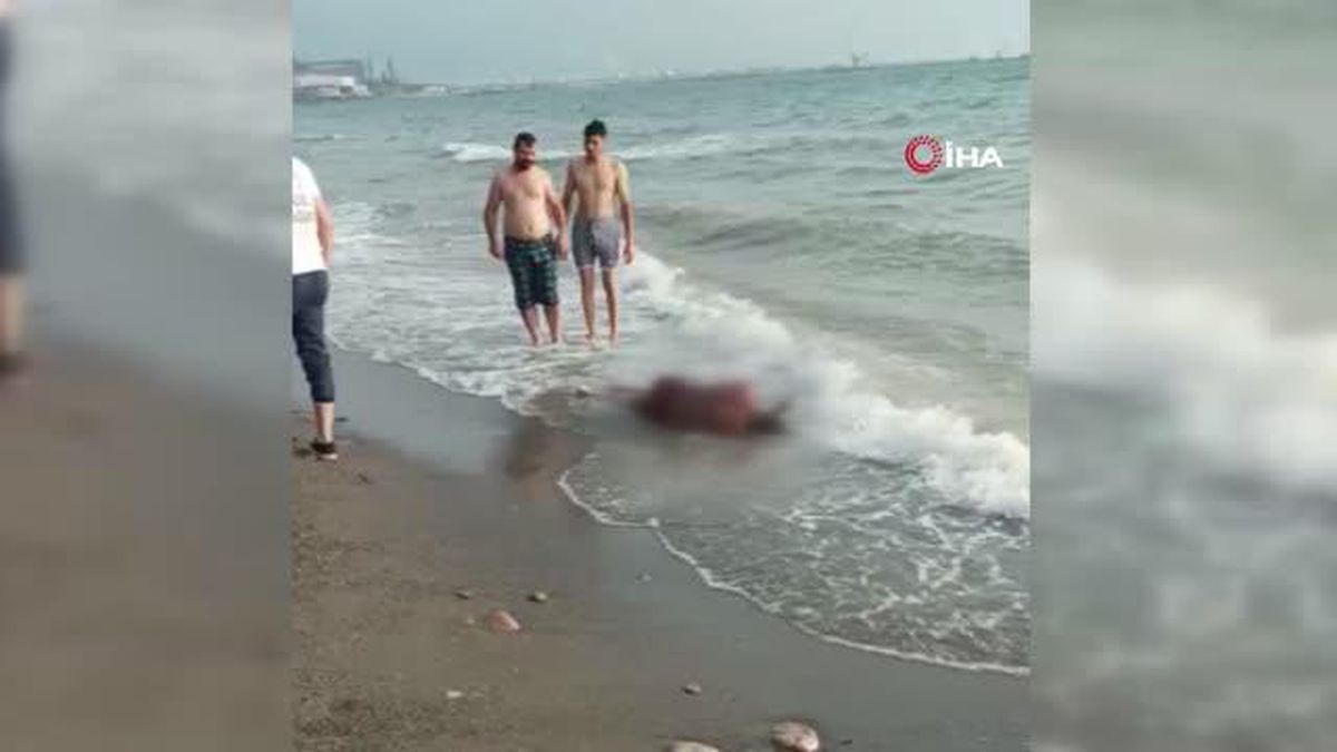 Hatay\'da denize giren şahıs 5 kilometre uzakta ölü olarak bulundu