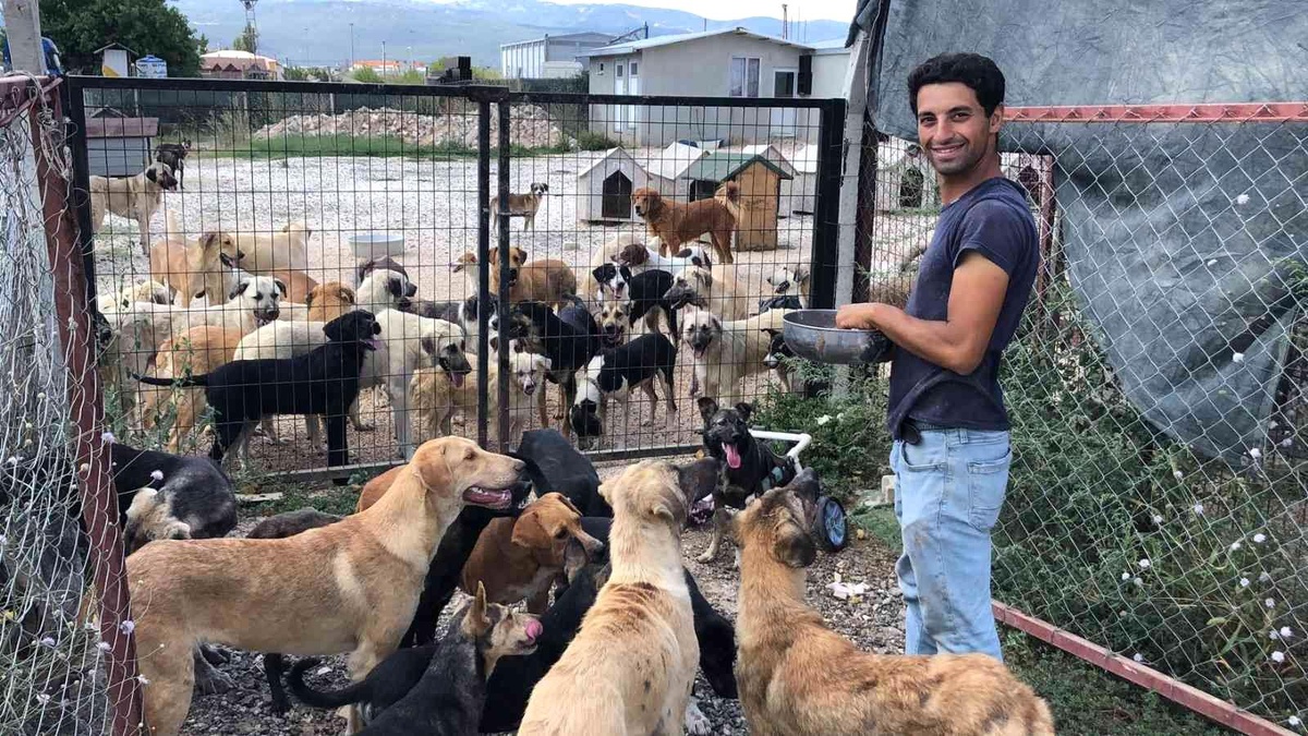 Sokak hayvanlarına hayat veren bağış