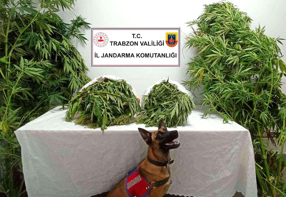 Trabzon\'da uyuşturucu operasyonu