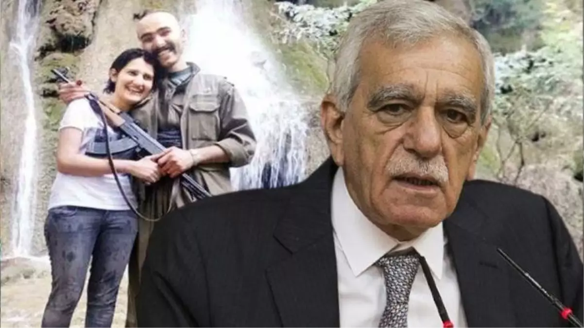 Ahmet Türk, yurtdışına kaçmak üzereyken yakalanan HDP'li Güzel hakkında konuştu: İktidarın Kürt düşmanlığı açık şekilde ortadadır