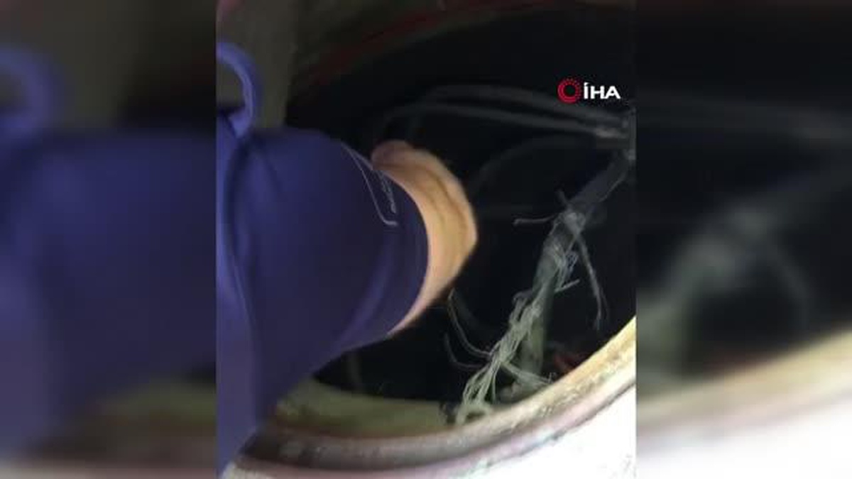 Beylikdüzü\'nde kanalizasyon rögarına düşen yavru kediyi itfaiye kurtardı