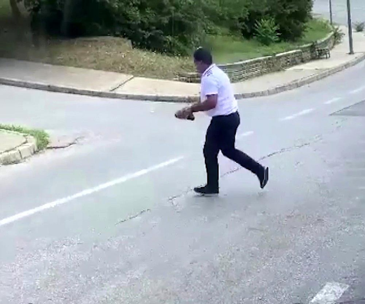 Kaplumbağanın ezilmemesi için yaptığı hareket takdir topladı