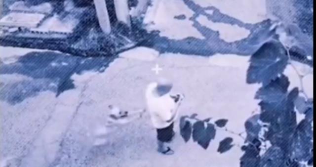 Köpek,sahibini kazadan kurtardı
