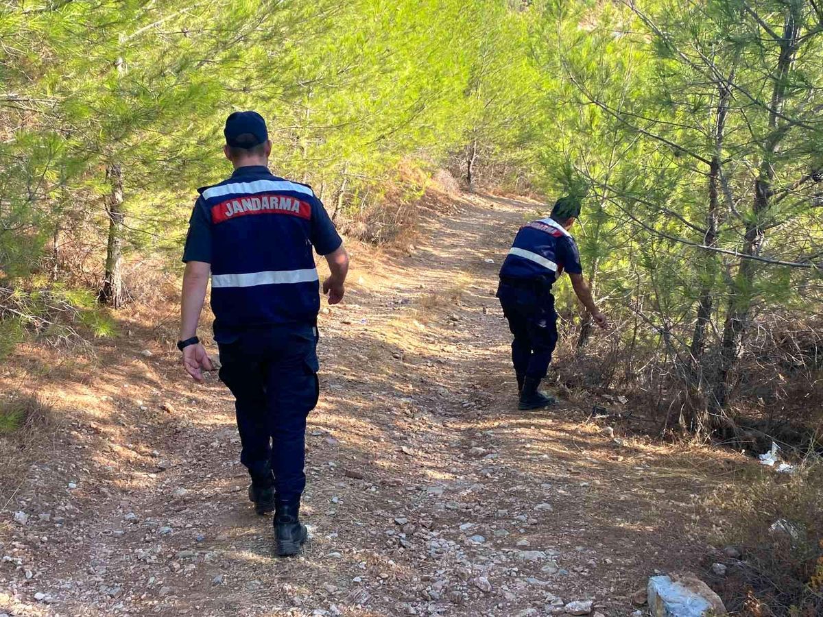 Muğla\'da orman yangını riskine karşı teyakkuz
